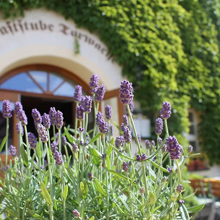 Hotel Klaffenbach 4*