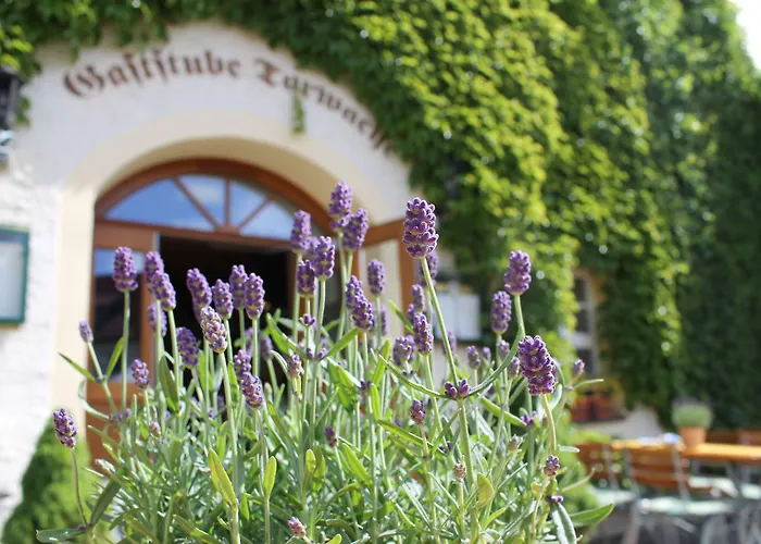 فندق Klaffenbach 4*